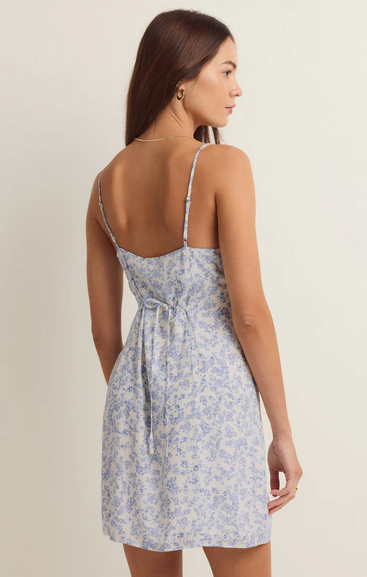 Z Supply Alena Tropez Floral Dress Blue White